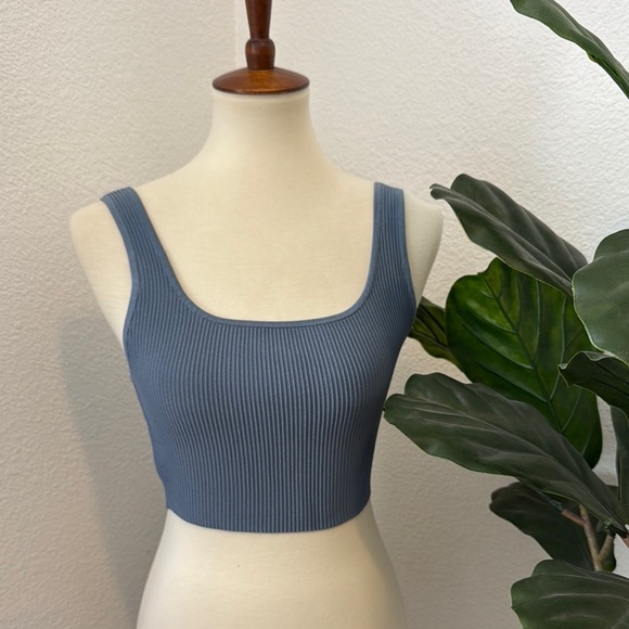 Aritzia Tops - NWT Aritzia Blue Ribbed Sleeveless Crop Tank Top